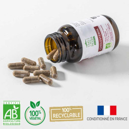 Complément alimentaire cholestérol