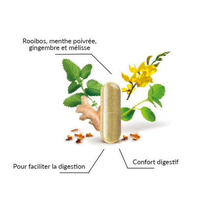 copy of Complément alimentaire cholestérol