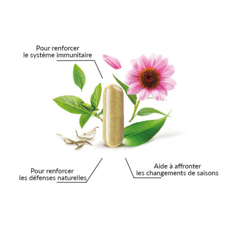 copy of Complément alimentaire cholestérol