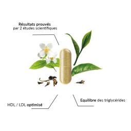 Complément alimentaire cholestérol