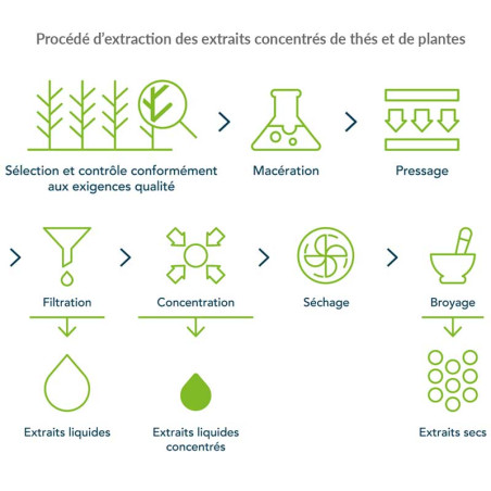 Complément alimentaire cholestérol