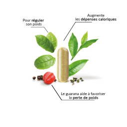 copy of Complément alimentaire cholestérol