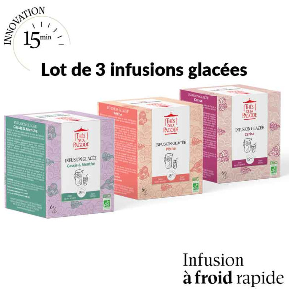 Lot de 3 infusions glacées prêts en 15 minutes à froid