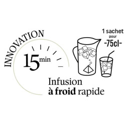 Lot de 3 infusions glacées prêts en 15 minutes à froid - Innovation : infusion à froid rapide en 15 minutes