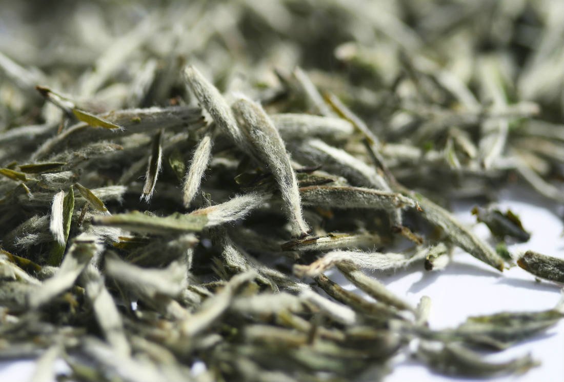 Le thé blanc : des Grands Crus légendaires aux saveurs délicates
