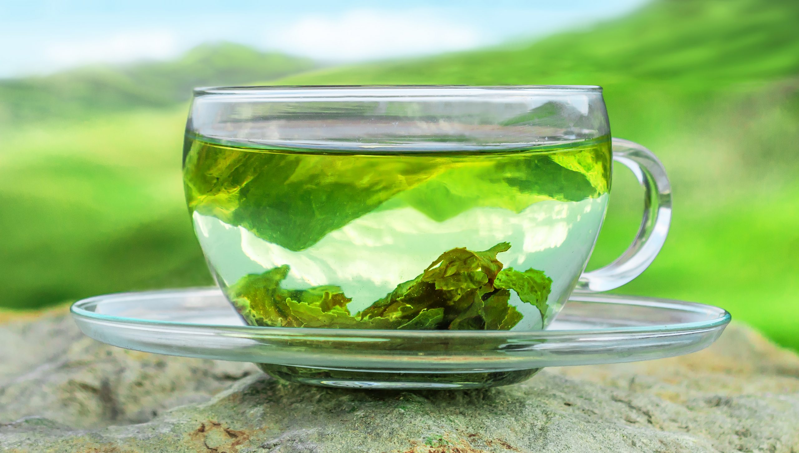 Est-ce que le thé est hydratant et quel est son rôle dans l'hydratation ?
